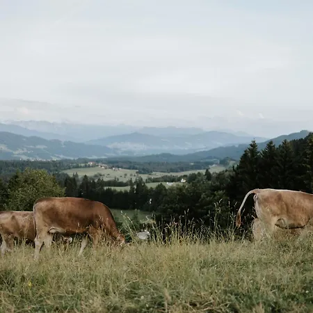 Heimatel - Altstadt-maisonette Mit Dachterrasse *